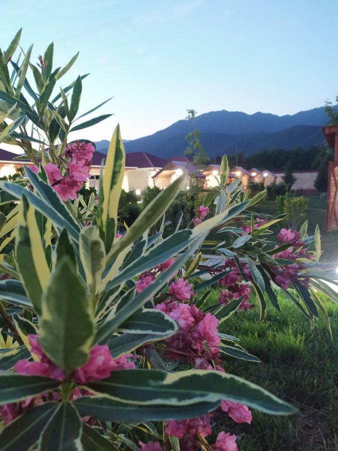 Bliss Inn Boutique Hotel Gabala Exterior foto