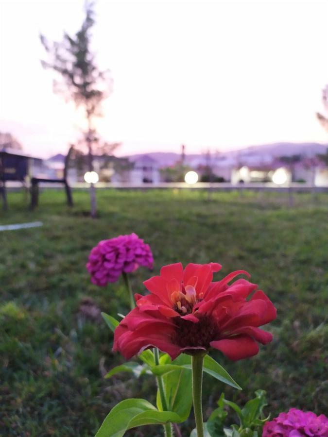 Bliss Inn Boutique Hotel Gabala Exterior foto
